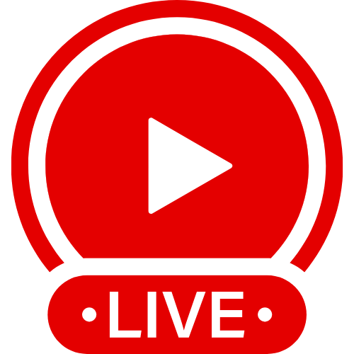 Playmorey | Live Webcam Shows & Interactive Adult Entertainment